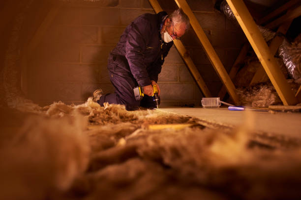 Best Insulation Installation Services in Oregon, OH